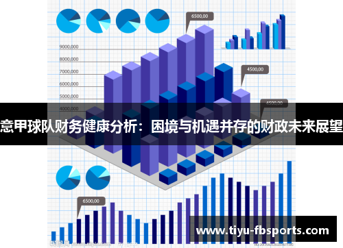 意甲球队财务健康分析：困境与机遇并存的财政未来展望