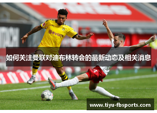 如何关注曼联对迪布林转会的最新动态及相关消息