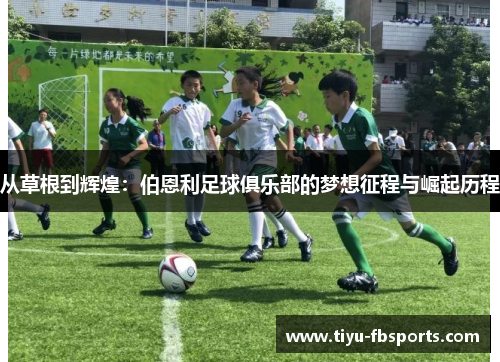 从草根到辉煌：伯恩利足球俱乐部的梦想征程与崛起历程