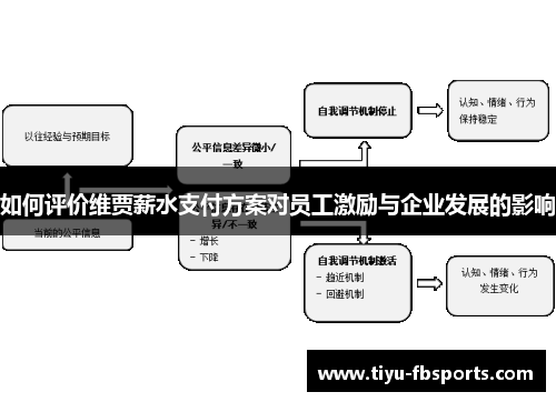 如何评价维贾薪水支付方案对员工激励与企业发展的影响