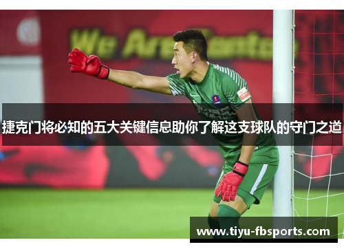 捷克门将必知的五大关键信息助你了解这支球队的守门之道