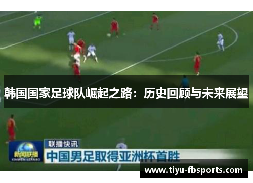 韩国国家足球队崛起之路：历史回顾与未来展望